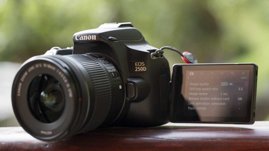 Canon_250D_ fotograf makinesi