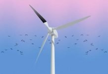 Rüzgar Türbini Pervanelerinin Boyanmasıyla Kuş Ölümlerinin Azaldığı Tespit Edildi Rüzgâr türbini pervanelerinin boyanmasıyla kuş ölümlerinin azaldığı tespit edildi