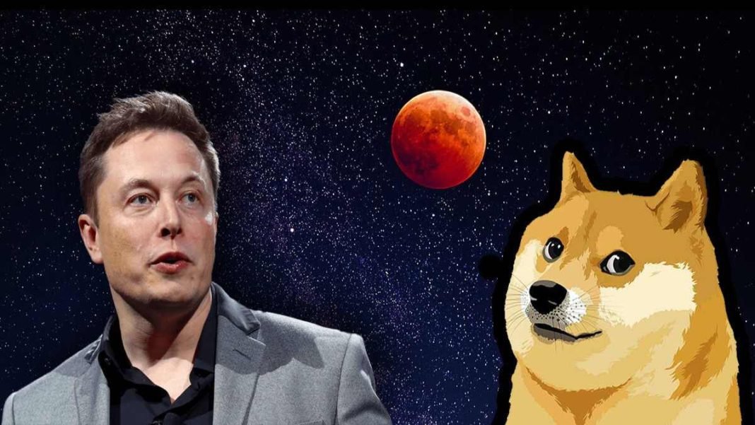 Elon Musk'ın Favorisi Olan Dogecoin, Değerini Bir Günde Üçe Katladı
