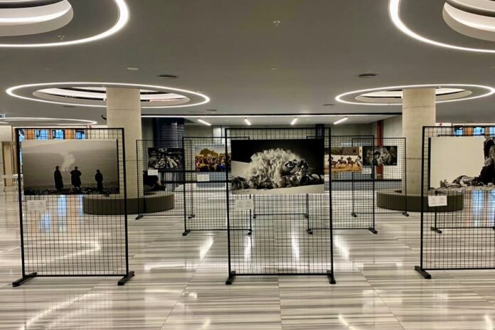 Canon’dan, Istanbul Photo Awards 2022 kazananlarına ödül desteği